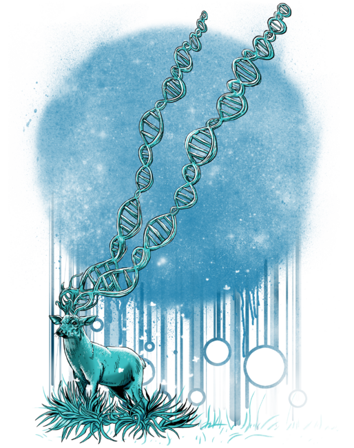 DNA Deer