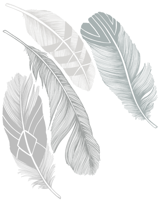 Silver Feathers