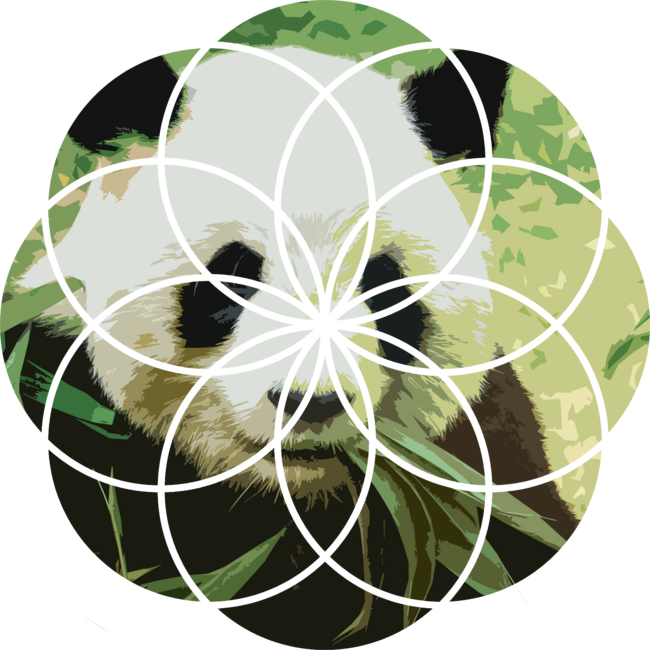 Panda Lotus by CliffCBlack
