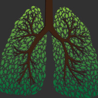 Leaf Lung Tree