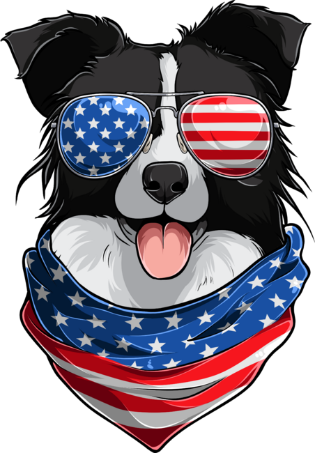 4th Of July Black &amp; White Border Collie Dog