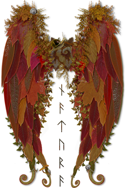 Elven Wings Autumn Forest
