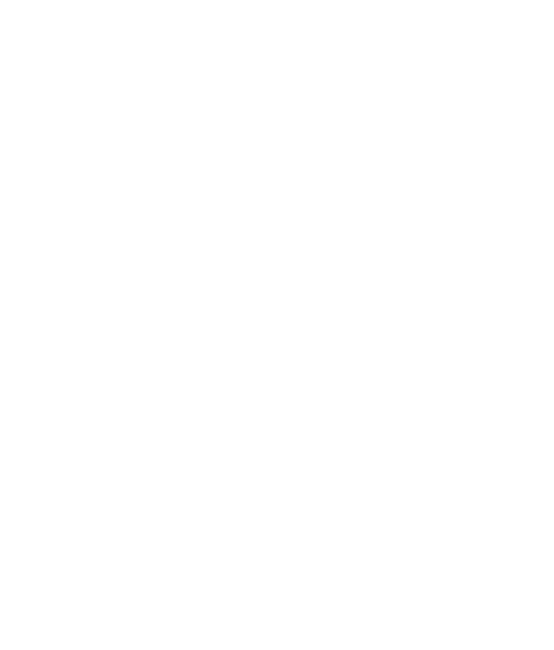 Retro Skull