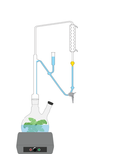 Hydrodistillation Apparatus Clevenger