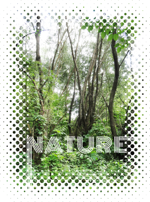 Nature #1