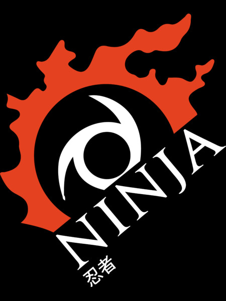 Ninja - For Warriors of Light &amp; Darkness