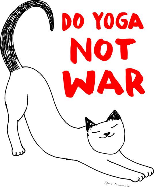 Do yoga not war cat