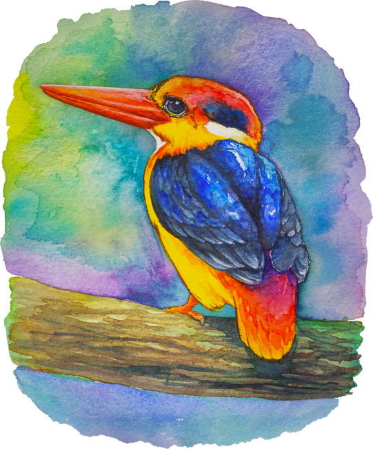 The watercolor bird