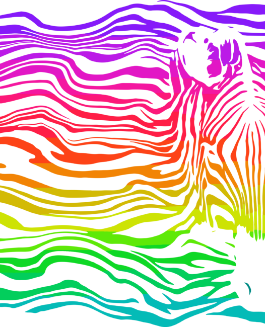 Summer Sunset Zebra