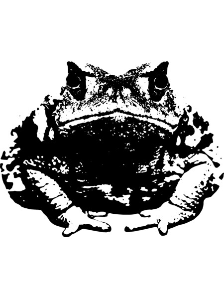 Severe Toad