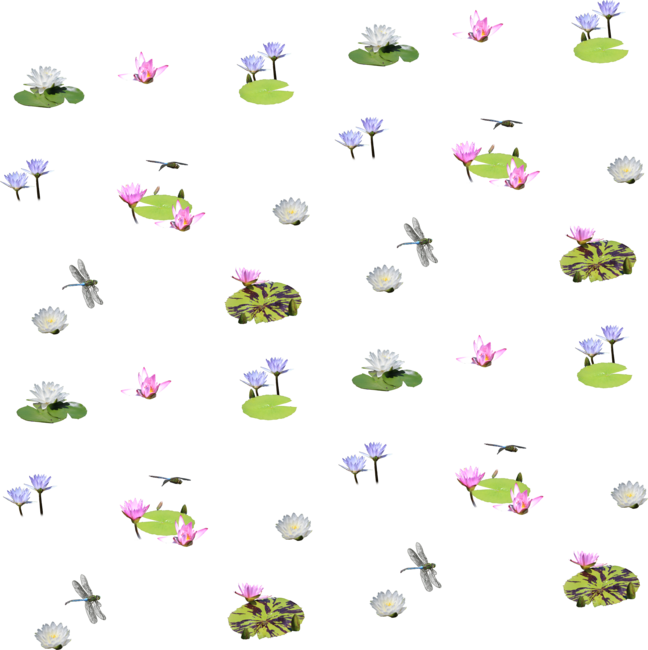 Lotus Flowers and Dragonflies Summer Pattern