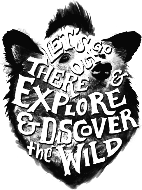 Explore and Discover the Wild