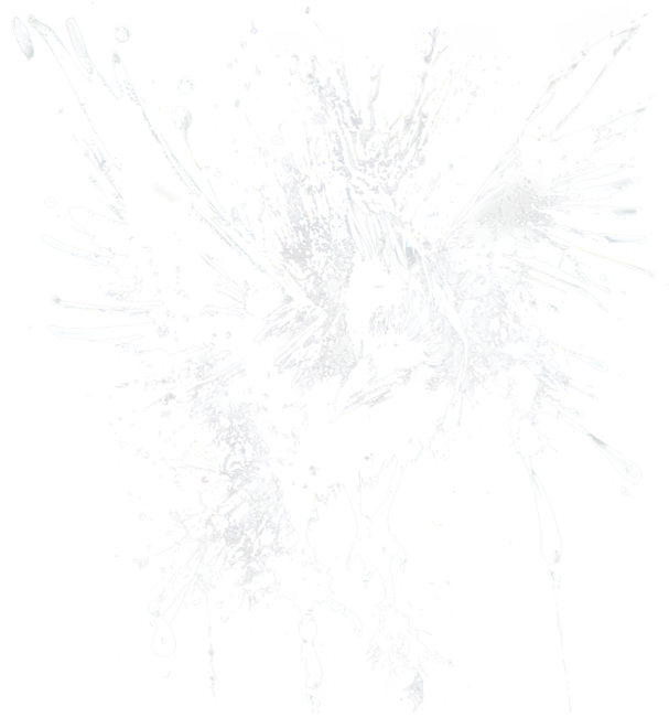 White Raven Flight Splatter Art