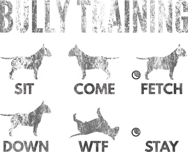 English Bull Terrier - Distressed Bully Training