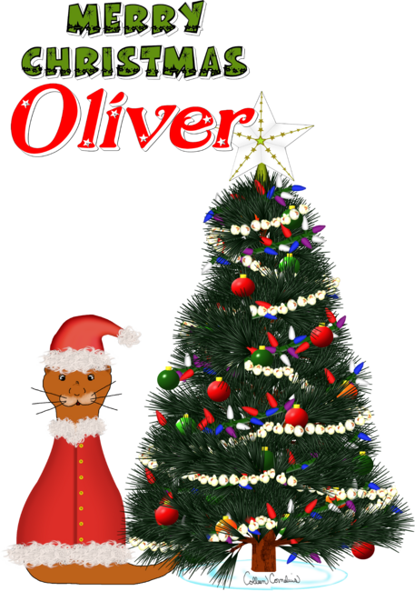 Oliver Dressed as Santa by His Christmas Tree