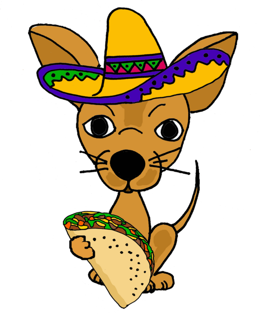 Marvelous Funny Chihuahua Dog eating Taco