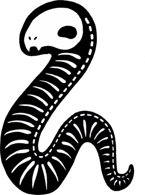 X-Ray Snake by MarciesArt