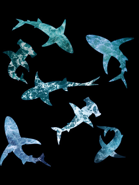 Hydro stickers pack - ocean shark group (sea wave texture)