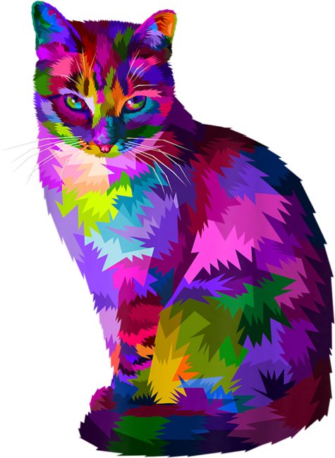 Cat Colorful by MiuMiuShop