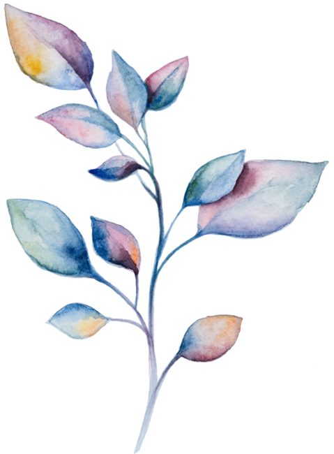 Colorful watercolor branch with leaves.