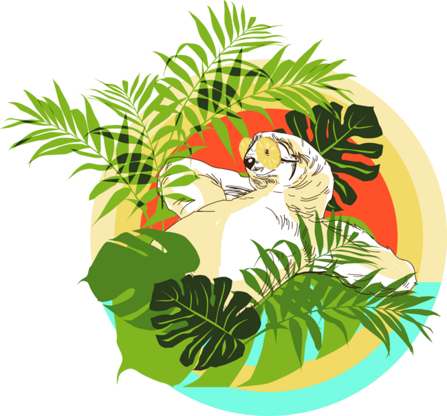 Tropical Sloth in Pineapple Sunglasses