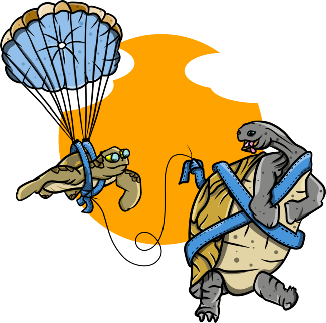 Turtle and tortoise parachute Parasailing