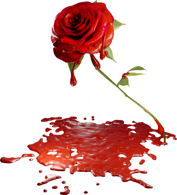 The Melting Red Rose