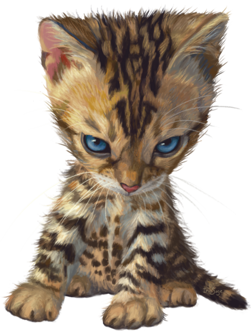 Cat Caricature - Bengal Kitten - Small by IrisSage