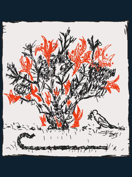 Burning Bush Sketch