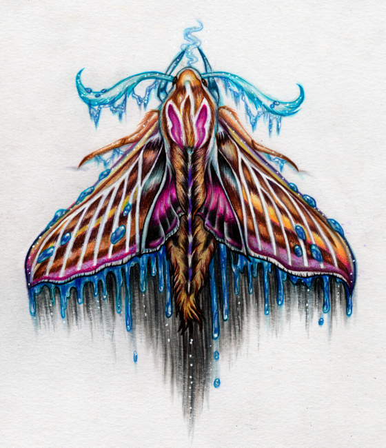 Moth by LaurArt