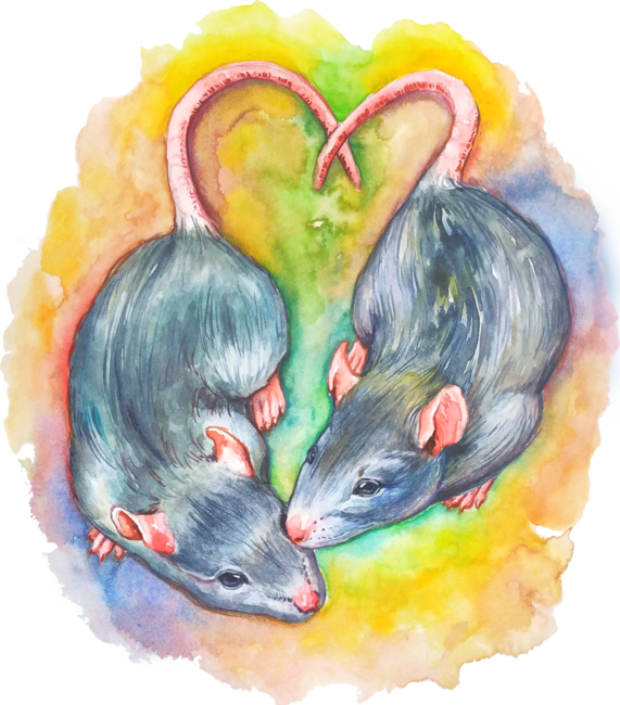 The watercolor rats