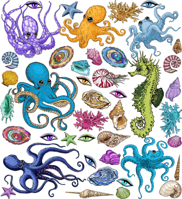 Octopus Beach Seashell Graphic Tee Shirt