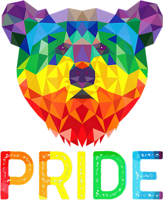 Funny Geometric Bear LGBT by vivii