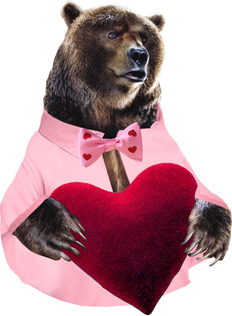 Valentine Bear by behrbones