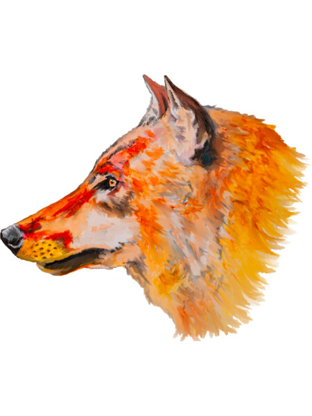 Fox head watercolor drawing