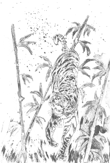 White Lines Tiger and Bamboo by ZeichenbloQ