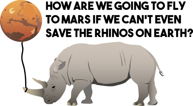 Save the Rhinos