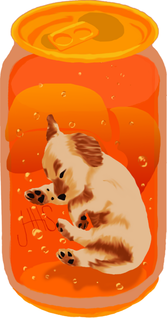 Soda Pup: Orange Golden Retriever