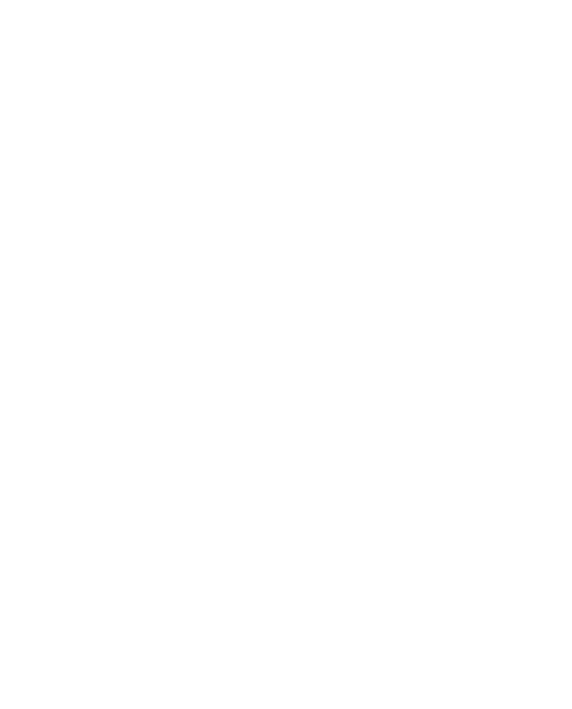 Cute Cats on Moon