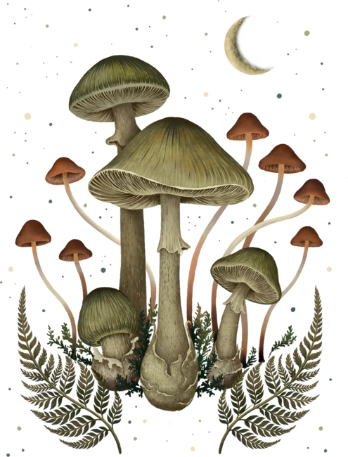 Death Cap by EpisodicDrawing
