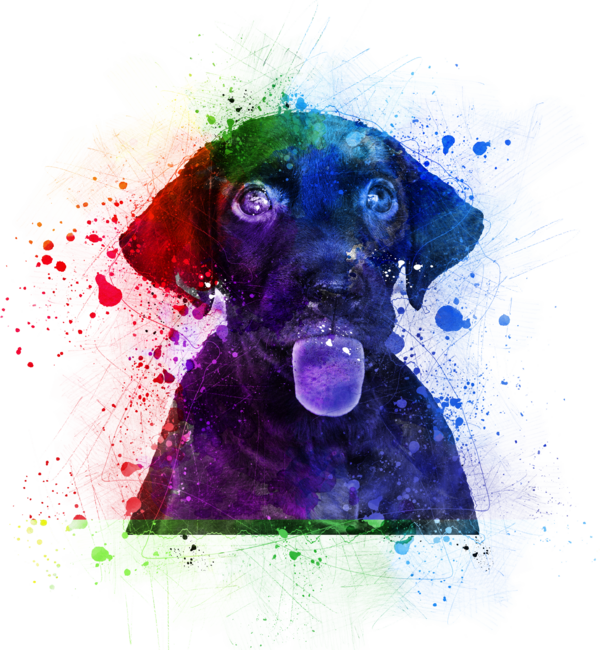 Colorful Dog by Cybermanx