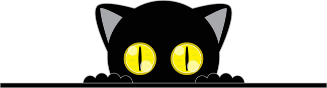 black cat mystery