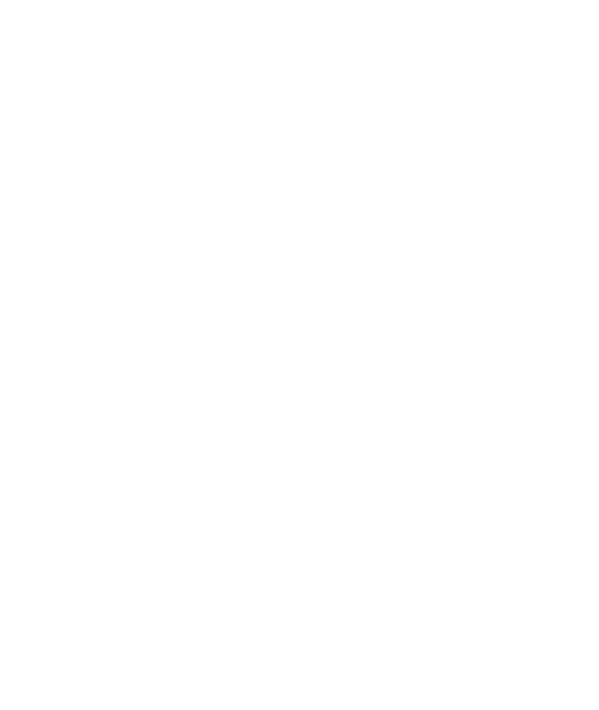 Witch Flying Over Haunted House, Full Moon, Halloween, Goth