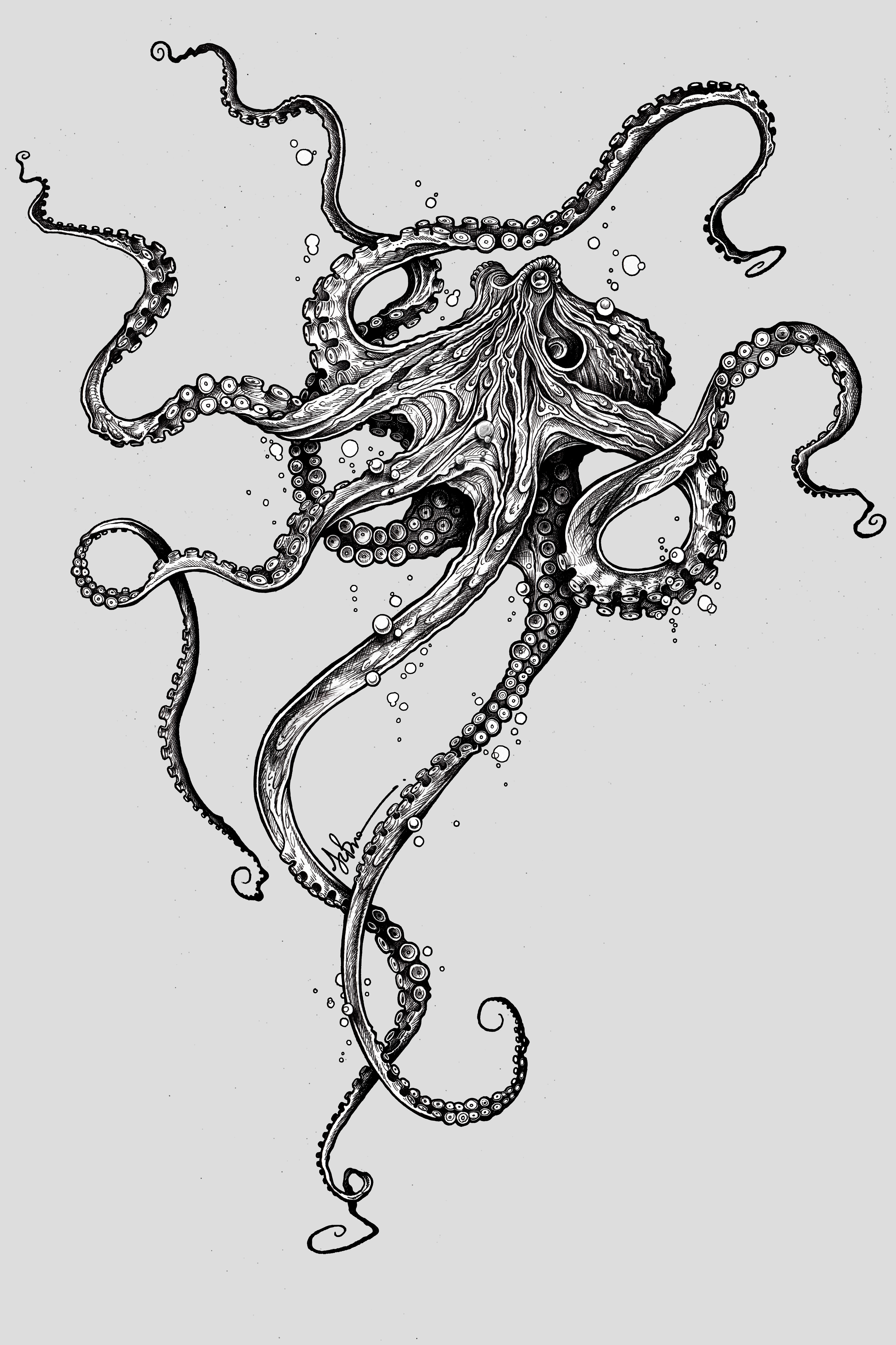 Octopus by TAOJB