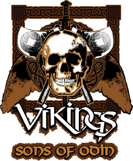 Vikings - Sons of Odin