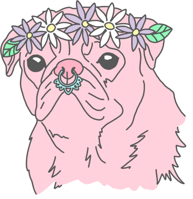 Flower Crown Pink Hipster Festival Pug