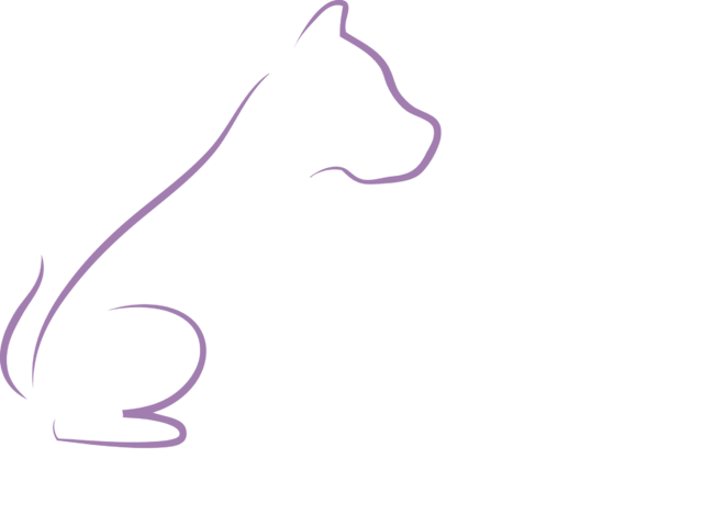 Pit Bulls: Cheaper Than Therapy