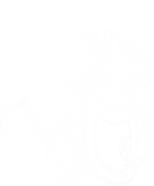 Realistic Octopus - White on Black