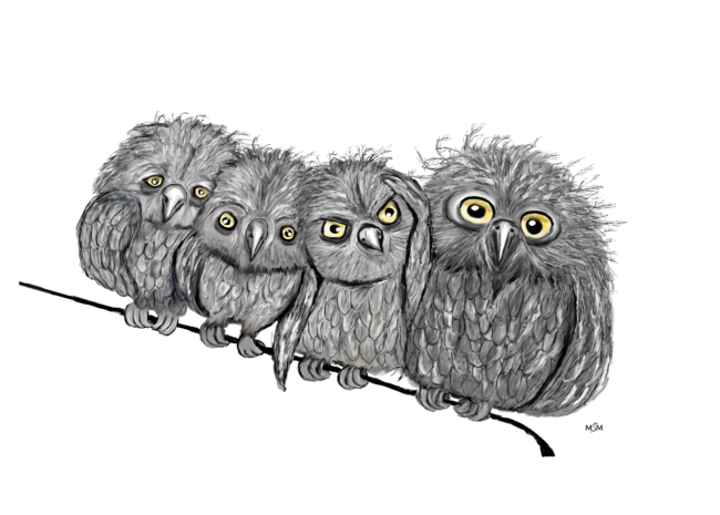 Owls inLine