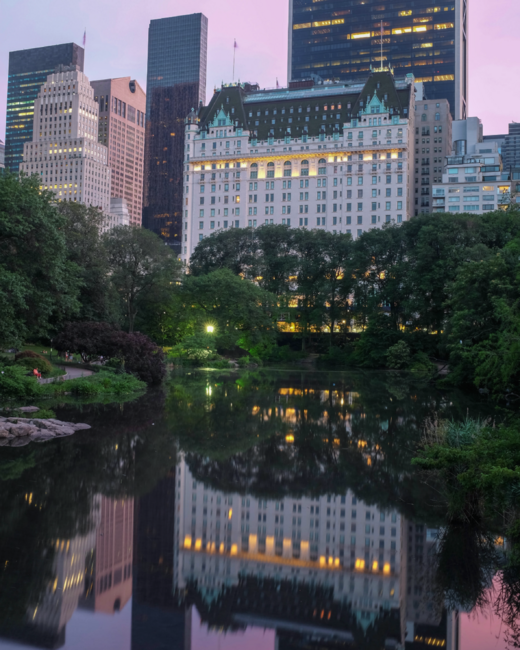 Central Park, Plaza Hotel Night by igjustin